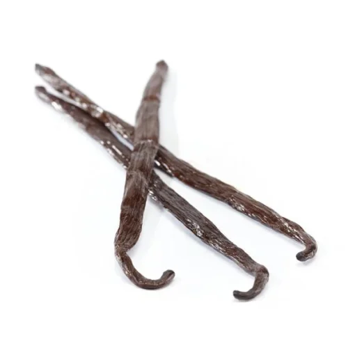 5 LB Tonga Vanilla Beans (Approximately 515-535 Beans)