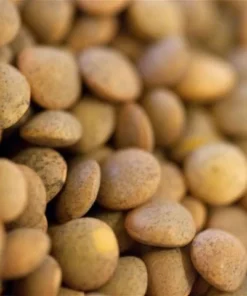 Brown Pardina Lentils