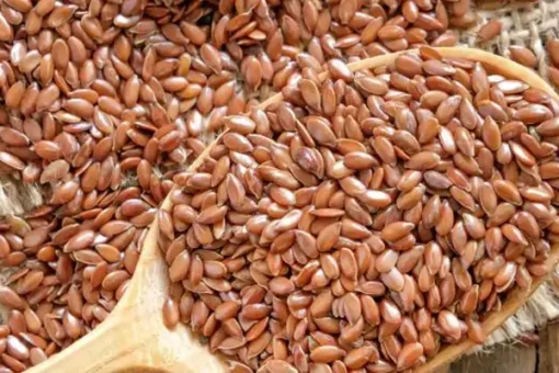 FLAX SEEDS