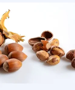 HAZELNUTS