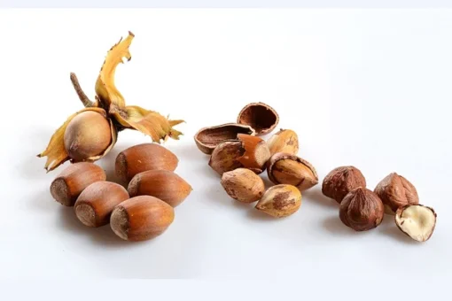 HAZELNUTS