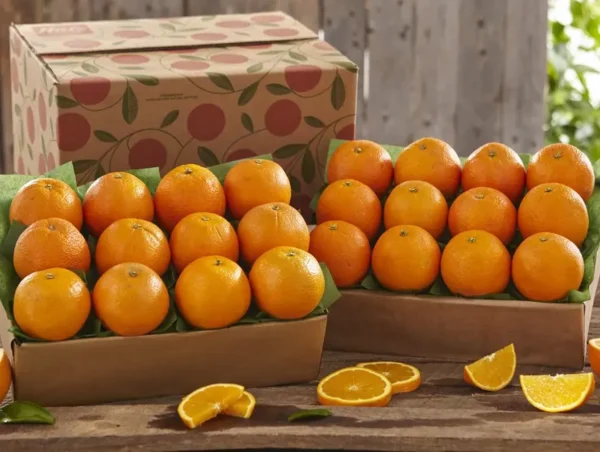 Wholesale Honey-Sweet Tangerines