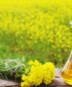 MUSTARD OIL