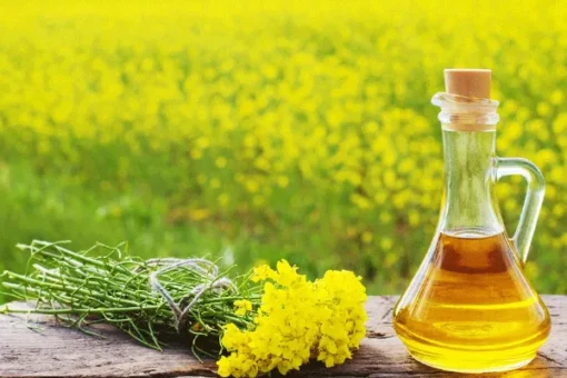 MUSTARD OIL