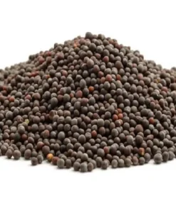 MUSTARD SEEDS