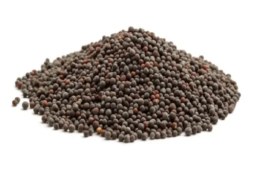 MUSTARD SEEDS