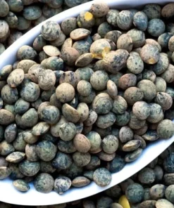 Madeline Petite French Green Lentils