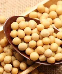 OYBEANS SEEDS