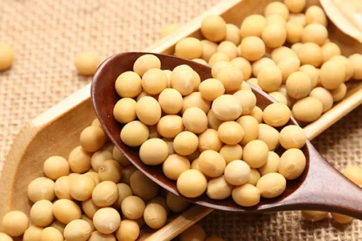 OYBEANS SEEDS