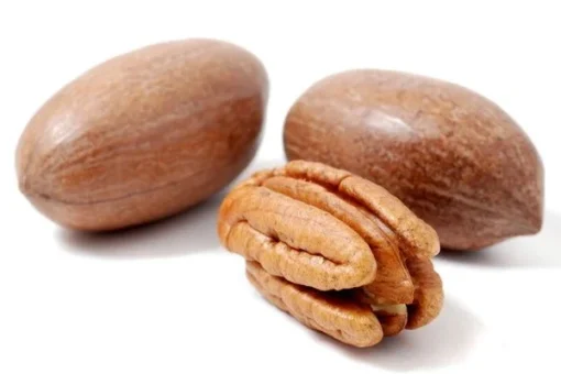PECAN NUTS