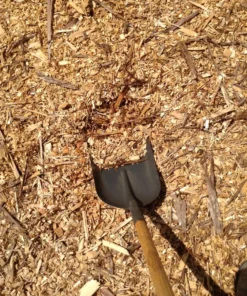 Wholesale Cypress Shavings For Sale
