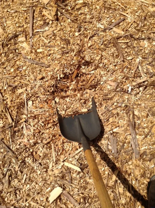 Wholesale Cypress Shavings For Sale