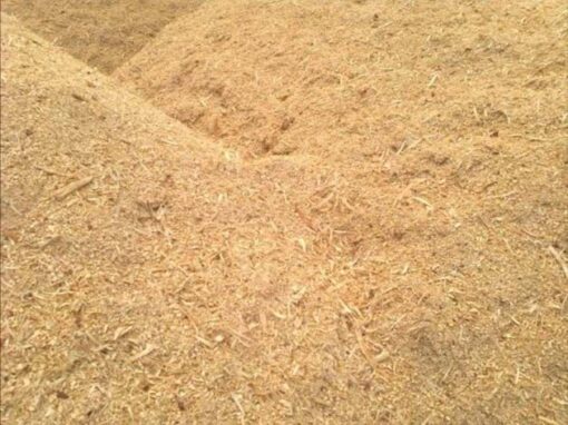Wholesale Pine Sawdust For Sale